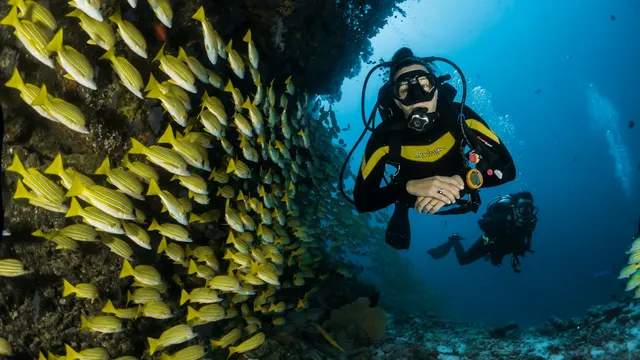 Snorkelaar boven een koraalrif met kleurrijke vissen in de Rode Zee